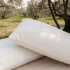 Προστατευτικό κάλυμμα μαξιλαριού Modal bed&home